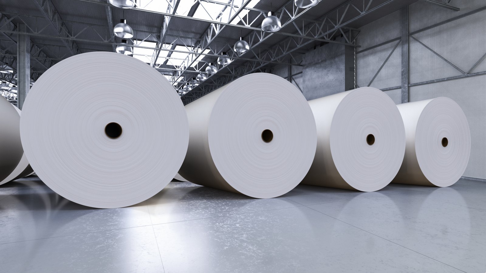 Papírenský a obalový průmysl